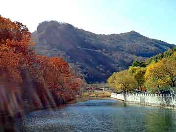 新澳天天开奖资料大全旅游团，雪铁龙毕加索论坛